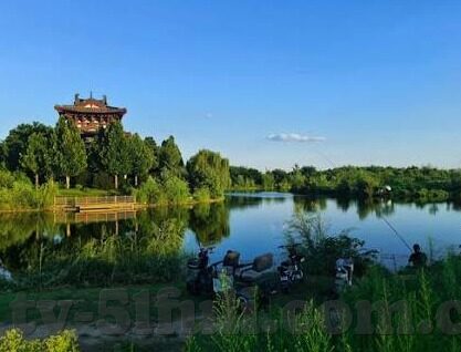 18禁AV麻豆-当然，我们可以从现代文化和艺术作品多样性的角度，探讨某些成人内容在特定市场中的存在现象，同时保持优雅和尊重所有参与者的基本原则