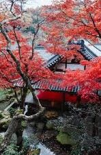 2021国产麻豆剧果冻传媒免费-2021年国产影视新风貌，解析免费麻豆剧果冻传媒现象