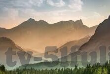 av人妻-探索AV人妻现象，理解与反思