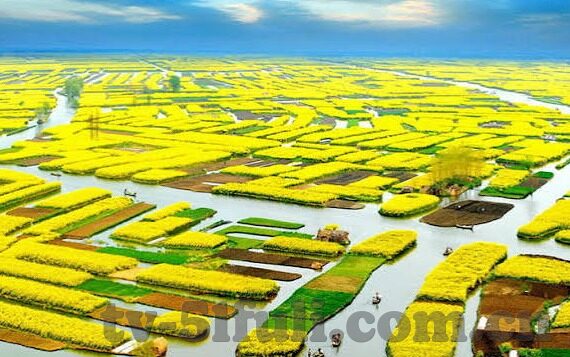 国产麻豆果冻传媒-国产麻豆果冻传媒，创新与文化自信的交融