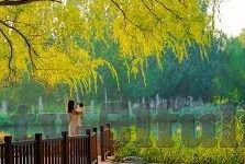 国产suv精品一区二区6-国产SUV精品，一区二区的卓越之旅