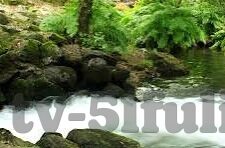 类似糖心vlog-类似糖心Vlog的魅力，生活的小确幸与自我表达的艺术