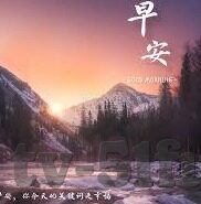 麻豆app源码-麻豆app源码，探寻创意与效率的数字桥梁