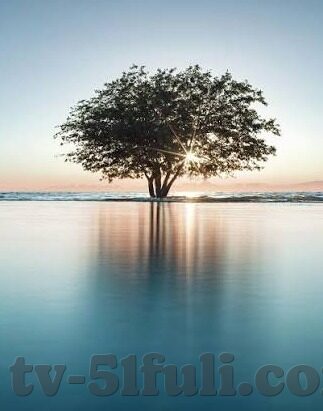 人妻天天干-家庭生活的温馨篇章，人妻的每日日常