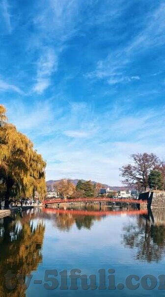 sihu影院麻豆av-新生活、新视野，探索SIHU影院的多元化娱乐体验