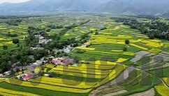 糖心app2021年旧版app-糖心app 2021年旧版app的回顾与反思