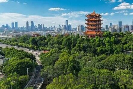 亚洲中文字幕一二三四区-探索亚洲中文字幕一二三四区的多元文化与娱乐新视角